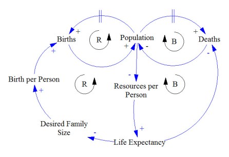 Population Model