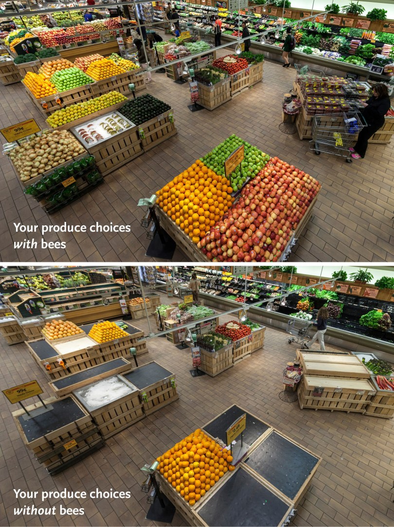 If you don't care about the honeybees, at least care about delicious foods! Image by Whole Foods.