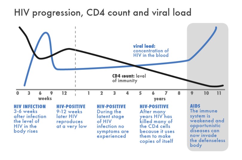 HIV:AIDS Progression
